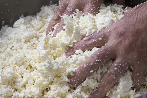 Preparación de mozzarella en una lechería — Foto de Stock