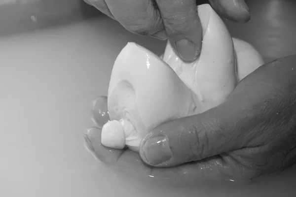 Preparation of mozzarella in a dairy — Stock Photo, Image