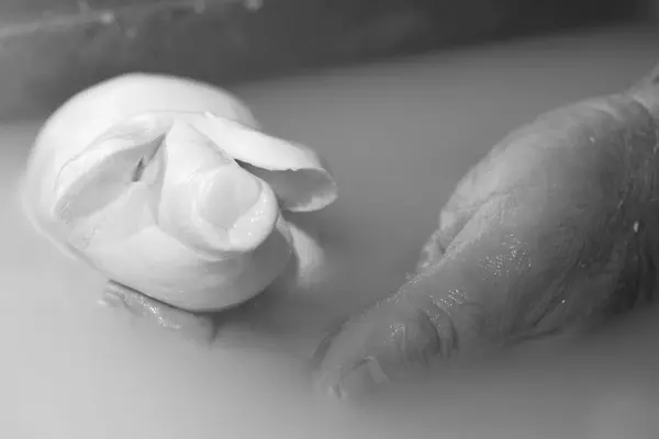 Preparation of mozzarella in a dairy — Stock Photo, Image