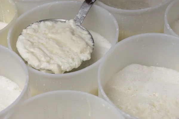 ricotta bir süt içinde hazırlanması