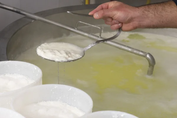 Preparation of ricotta in a dairy — Stock Photo, Image