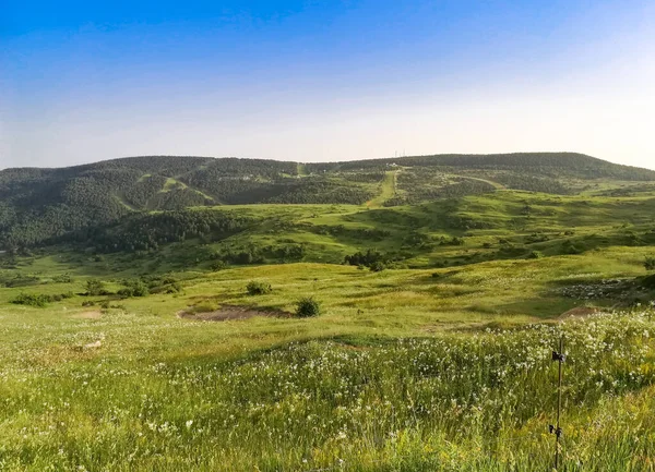 Гори Зеленими Пасовищами Влітку — стокове фото