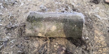 legno tagliato in mezzo al cammino