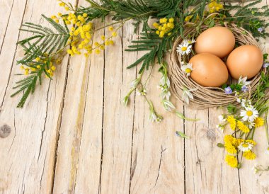 Paskalya sembolleri. Yumurta Mimoza çiçekler