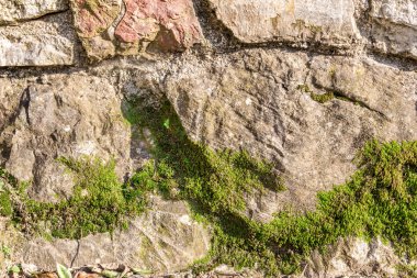 Eski taş duvar tarafından yosun kaplı