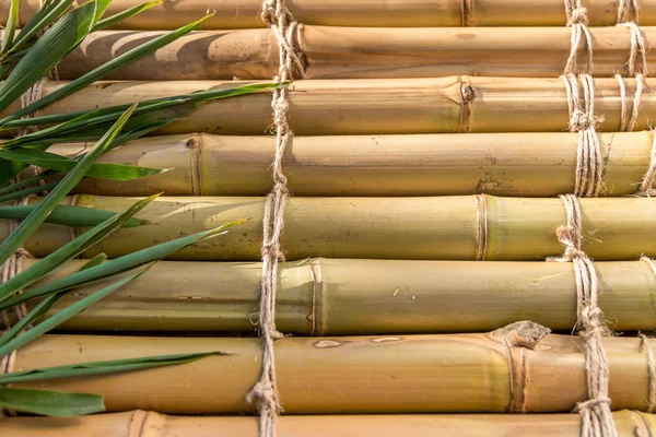 Bambu doku sicim desen backgroung