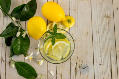 Naneli limonata çiçek açması ağaca ile dekore edilmiştir.