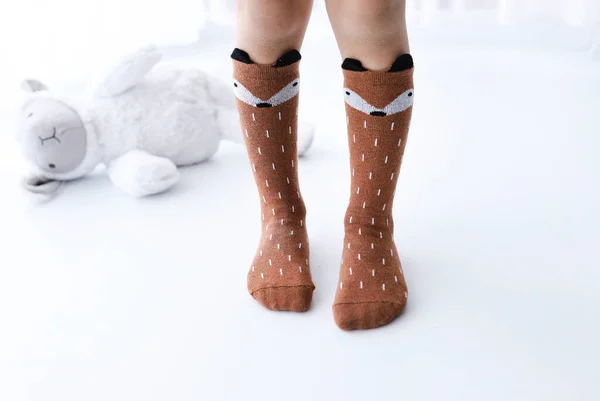 Tilki desenli çoraplar ve oyuncak kuzu.