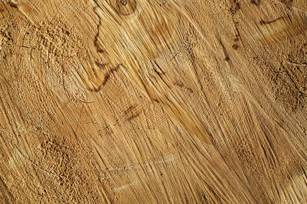 Sawn cracked timber showing annual rings — Stock Photo, Image