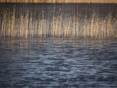 su ve eriyen buz kuru ot