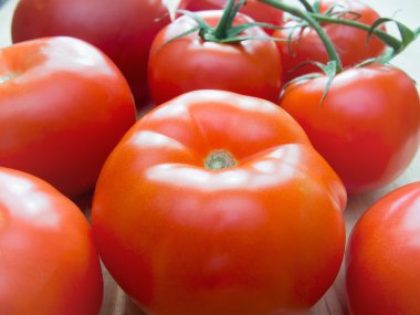 Kırsal ahşap arka planda taze domatesler