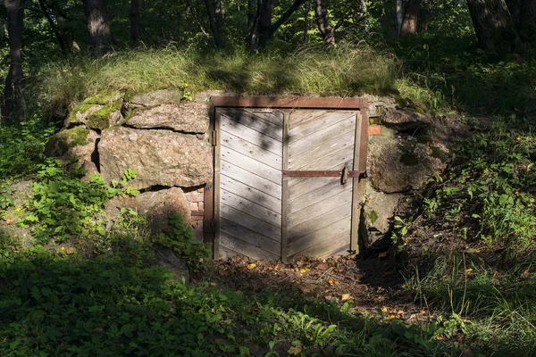 Förfallna gamla dörr i stenmur täcks av vegetation — Stockfoto