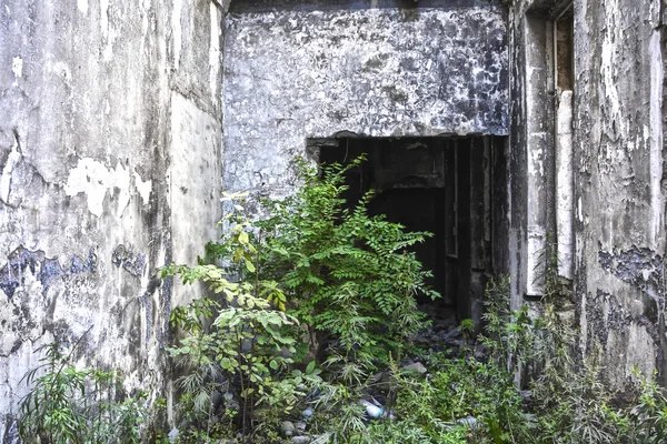 对植被覆盖的破旧建筑废墟 — 图库照片