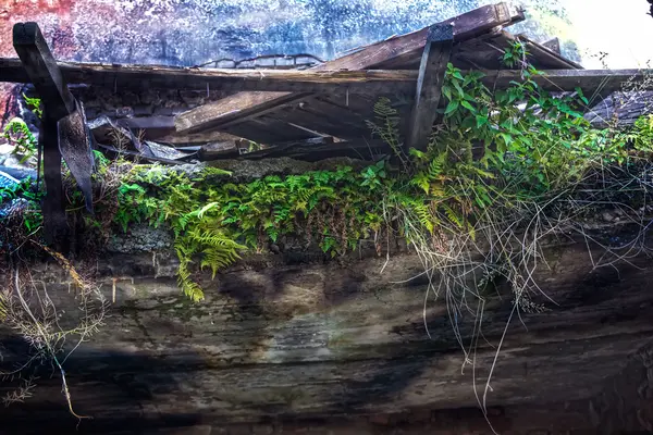 植生に覆われたぼろぼろの建物の遺跡 — ストック写真