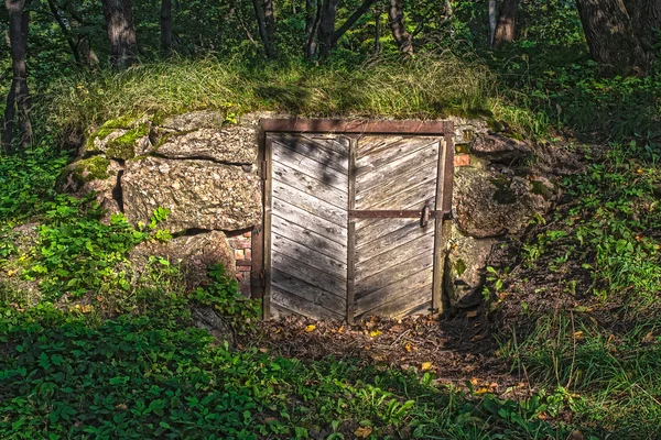 Porta velha abandonada na parede de pedra coberta pela vegetação — Fotografia de Stock