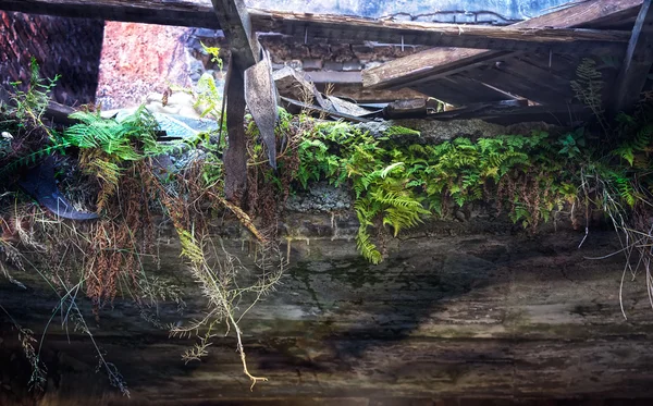 Ruínas de edifícios degradados cobertos por vegetação — Fotografia de Stock