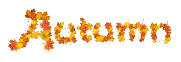 Palabra de otoño hecha de hojas de arce brillante — Foto de Stock