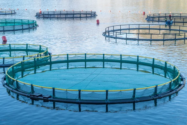 Käfige für die Fischzucht — Stockfoto