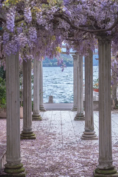 Hermoso patio delantero con pilares y flores de glicina Imagen de stock