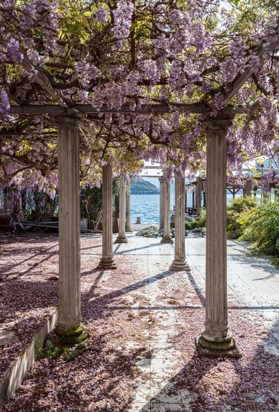 Relaxante jardim dianteiro com pilares e flores wisteria — Fotografia de Stock