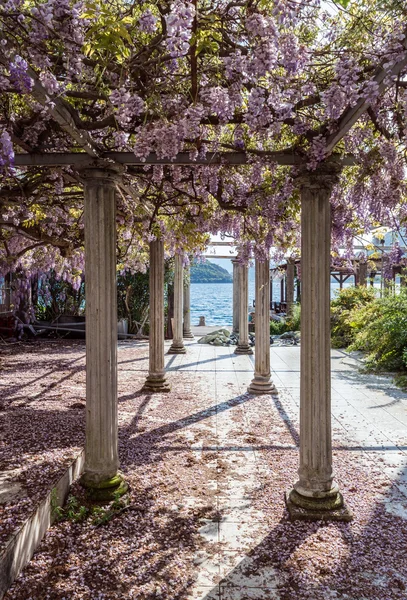 Sütunlar ve wisteria çiçekler ile ön bahçede rahatlatıcı — Stok fotoğraf