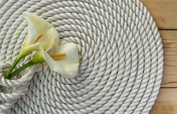 Beautiful white Calla lily over rope — Stock Photo, Image