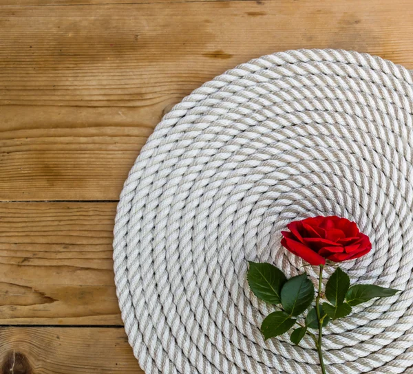 Güzel kırmızı gül lily ip üzerinde