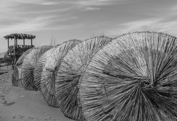 Parasoler av tre på sandfylte hav – stockfoto