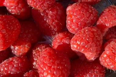 Bir yığın ahududu. Kırmızı yabani meyveler.