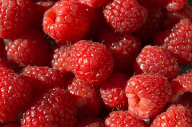 Bir yığın ahududu. Kırmızı yabani meyveler.