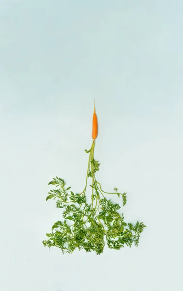 Вид Сверху Свежей Моркови Зелеными Листьями Зеленом Фоне Органическая Экологическая — стоковое фото