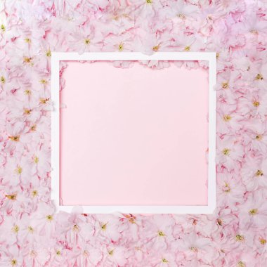 Yaratıcı fotokopi alanı ile Japon kiraz çiçekleri üzerinde oluşturulmuş kare şeklinde bir çerçeve. Düz konum düzeni.