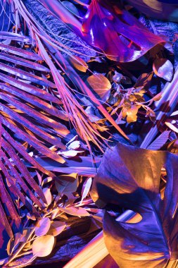 Siber punk ormanı kavramı. Doğal, taze, yeşil, farklı türde ve şekiller düz düzende tropikal bitki yapraklarının karışımı