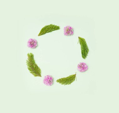 Bebek ladin ile birlikte doğal taze kırmızı yoncadan yapılmış güzel bir soyut çember. Asgari düzenleme, pastel yeşil arka planlı yaratıcı kopya alanı.