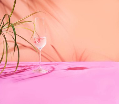 Frenk üzümlü bir bardak kokteyl. Terracotta 'ya karşı lüks bir şampanya konsepti ve açık mor yapraklı ve gölgeli bir arka plan..