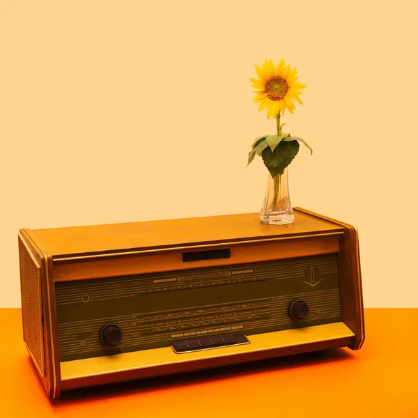 Starožitné Rádio Krásnou Slunečnicí Jednoduché Průhledné Skleněné Váze Minimální Retro — Stock fotografie