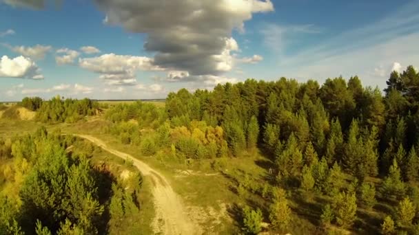 Rural road in steppe in summer day — Stock Video