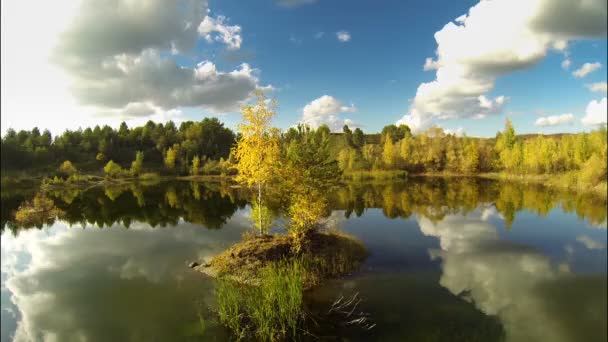 Uma pequena ilha no lago — Vídeo de Stock