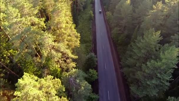 voitures sur la route dans la forêt, vue aérienne 