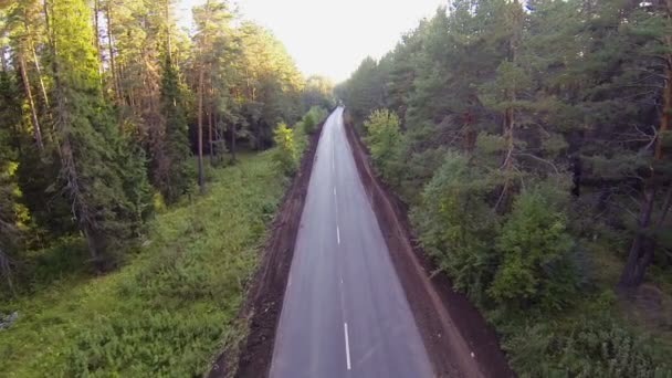 Voitures sur la route dans la forêt, vue aérienne — Video