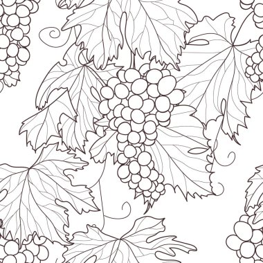 Kusursuz vektör deseni. Beyaz arka planda üzüm yaprakları ve demetleri 