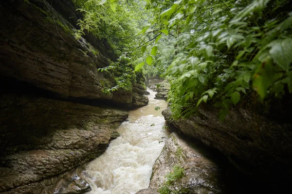 Dağ nehri, yeşillik, ıslak kayalar, kayalar ve yağmur ormanları, yaz ormanı manzarası.