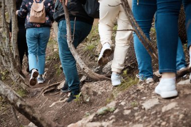 a group of tourists goes hiking on a forest road, close-up photo of legs, legs in motion