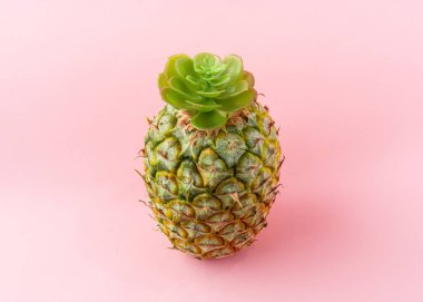 Açık pembe arka planda bir ananas.