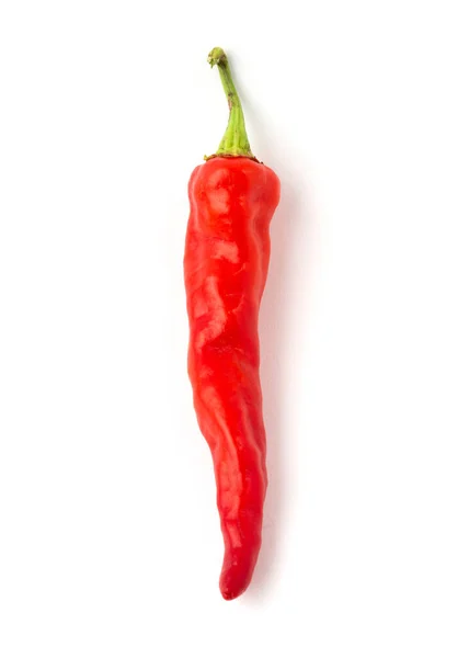 Red Hot Chili Pepper Isolated White Background — Stock Photo, Image