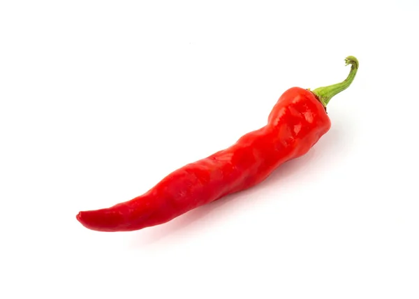 Pimiento Rojo Picante Aislado Sobre Fondo Blanco — Foto de Stock