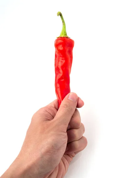 Hand Hält Ein Mann Rote Chilischote Isoliert Auf Weißem Hintergrund — Stockfoto
