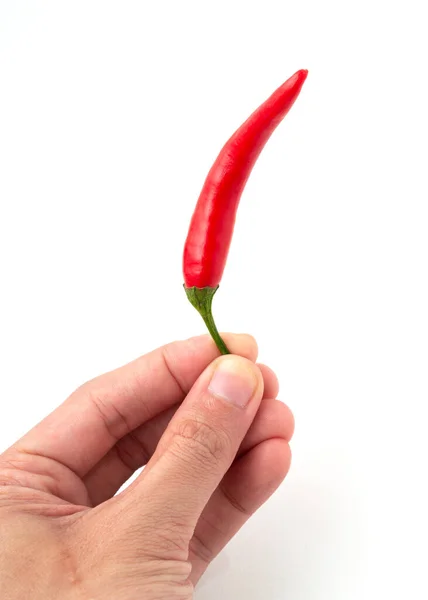 Hand Man Holds Red Hot Chili Pepper Isolated White Background — 图库照片