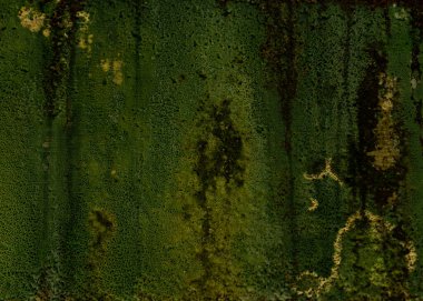 Duvardaki yeşil yosun dokusu arka plan için mükemmel..