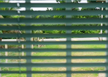 Arka plan için mükemmel zebra körü olan pencere.